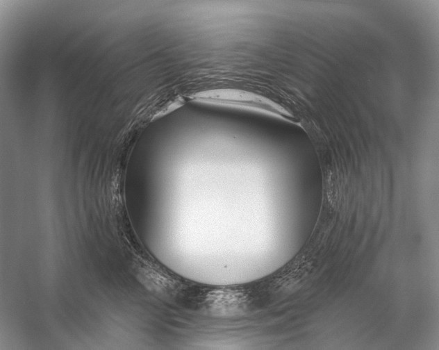 X0000058770714200510171226