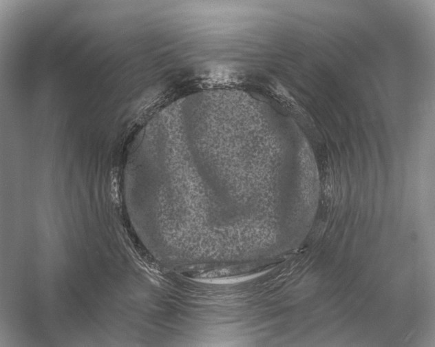 X0000058770715200510171226