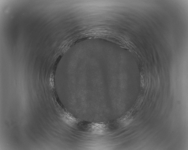 X0000058770718200510171226
