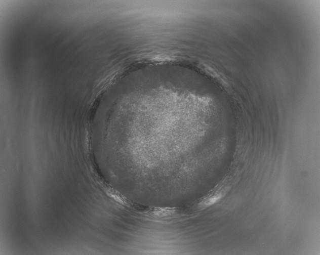 X0000058770720200510171226