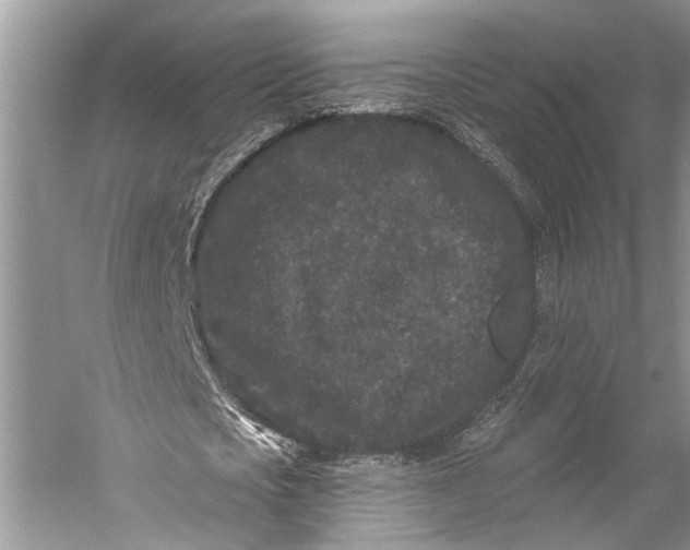 X0000058770721200510171225