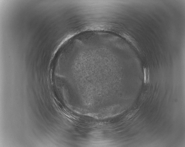 X0000058770723200510171225