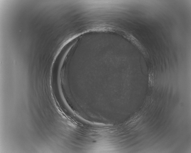 X0000058770724200510171225