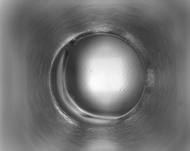 X0000058770726200510171225