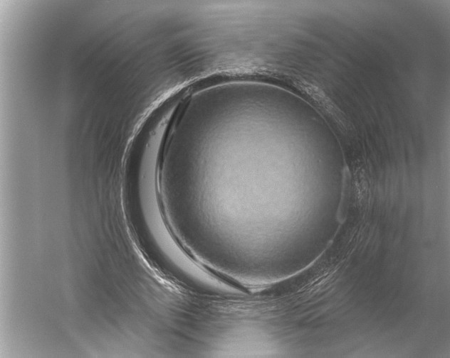 X0000058770728200510171225