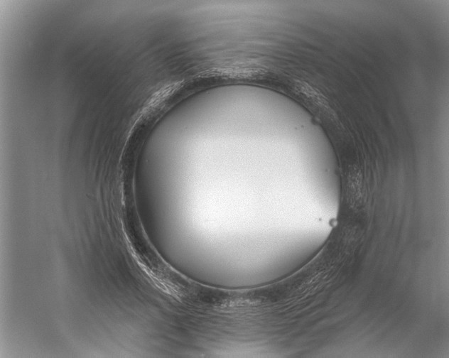 X0000058770734200510171225