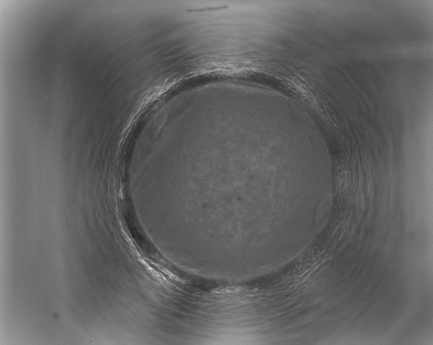 X0000058770736200510171225