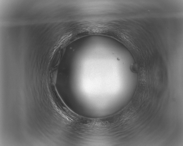 X0000058770738200510171225