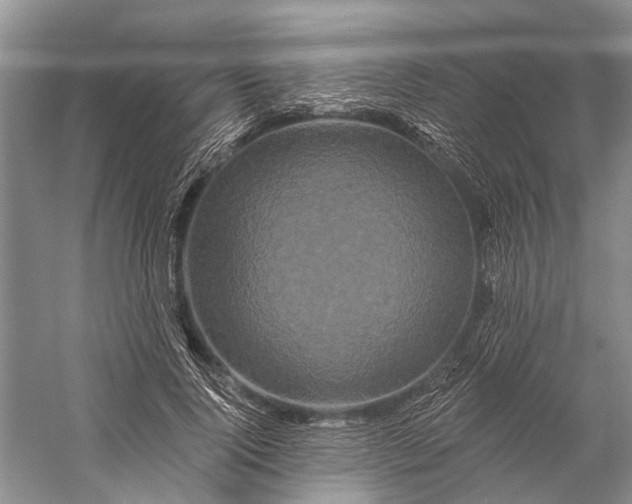 X0000058770740200510171225