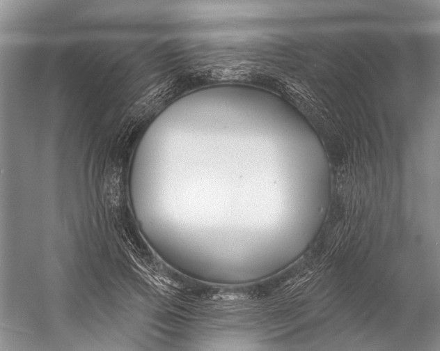 X0000058770741200510171226