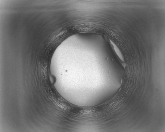 X0000058770745200510171226