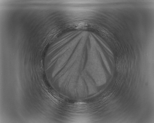 X0000058770748200510171226