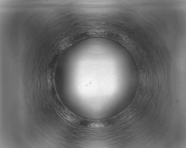 X0000058770749200510171226