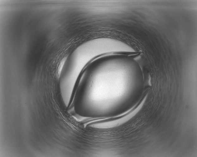 X0000058770750200510171226