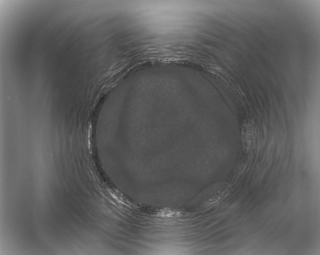 X0000058770760200510171226