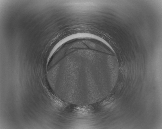 X0000058770763200510171226