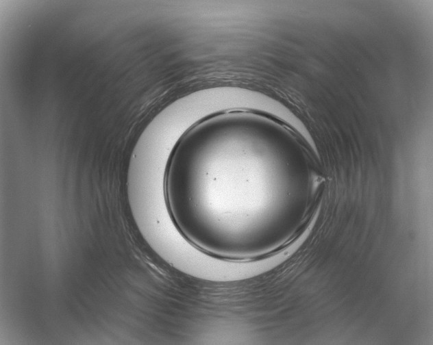 X0000058770766200510171226