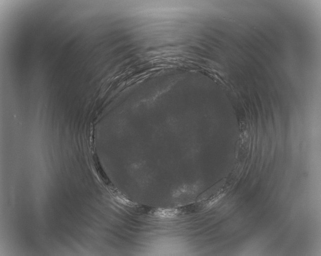 X0000058770767200510171226