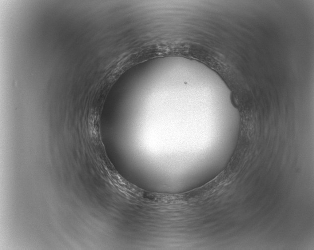 X0000058770770200510171225