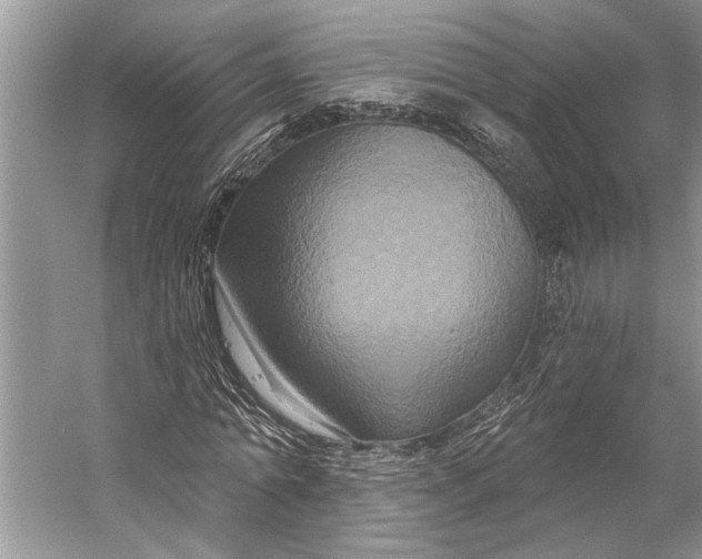 X0000058770774200510171225