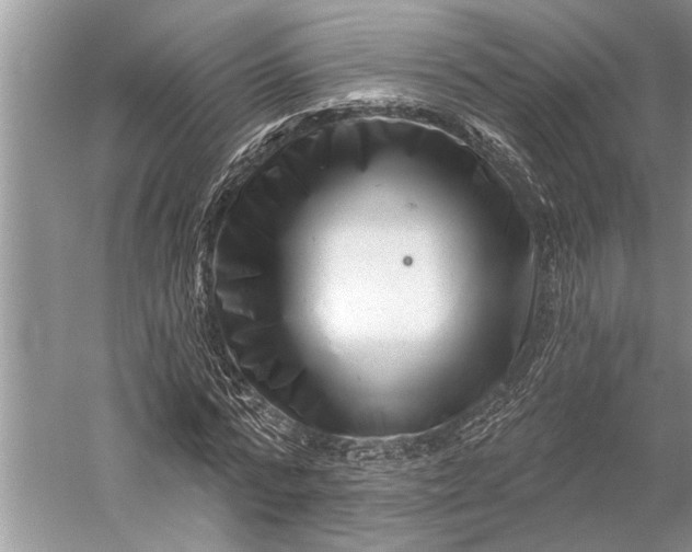 X0000058770776200510171225