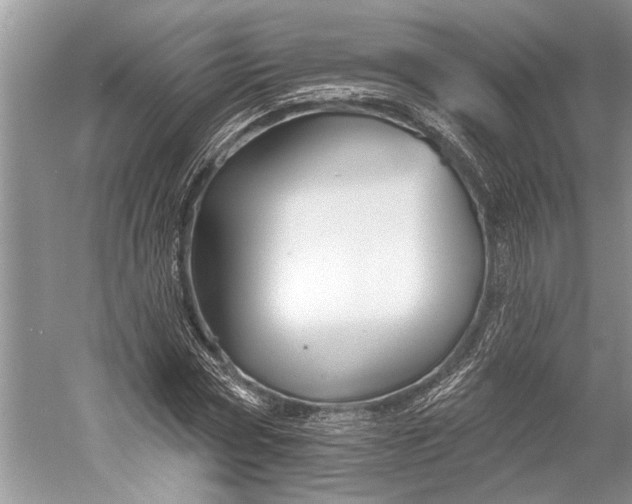 X0000058770778200510171225