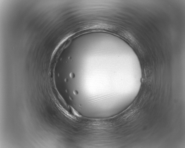 X0000058770780200510171225