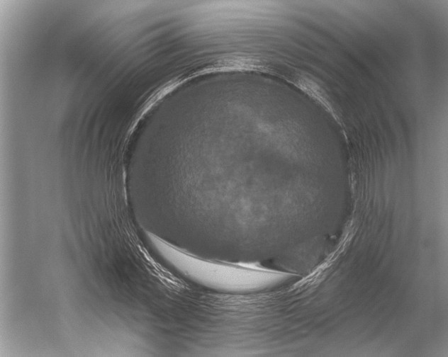 X0000058770781200510171225