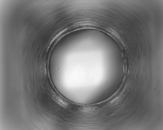 X0000058770782200510171225