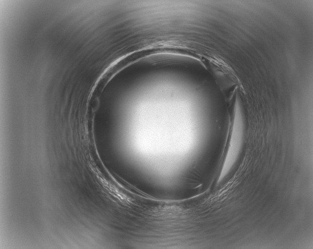 X0000058770784200510171225