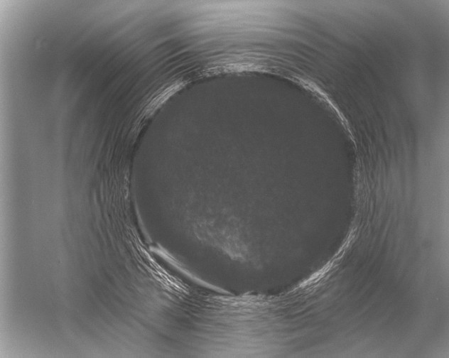 X0000058770785200510171225