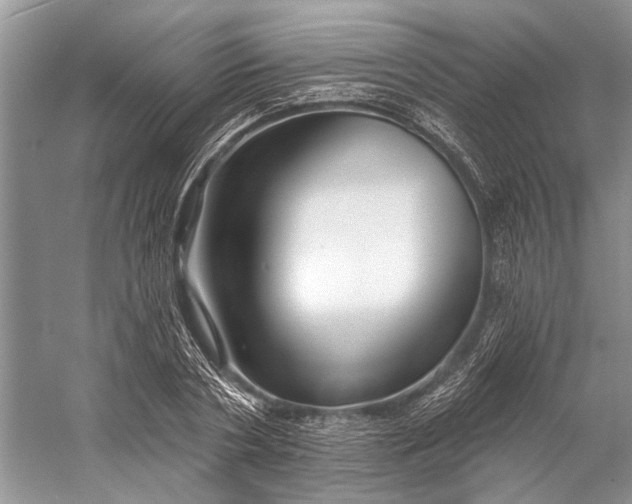 X0000058770786200510171225