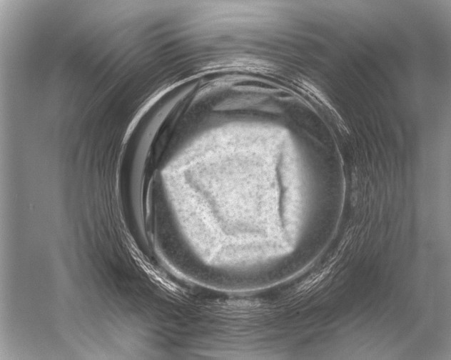 X0000058770788200510171225