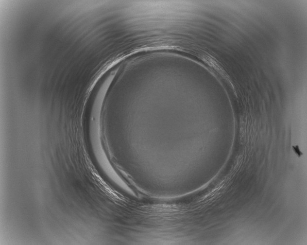 X0000058770789200510171225