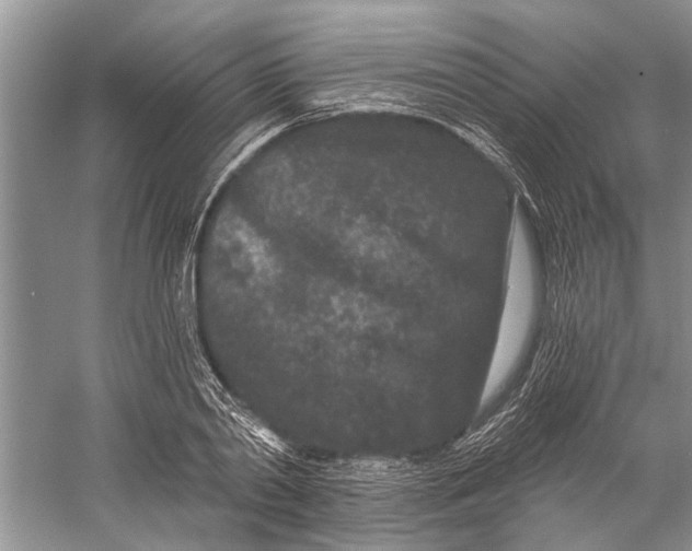 X0000058770790200510171225