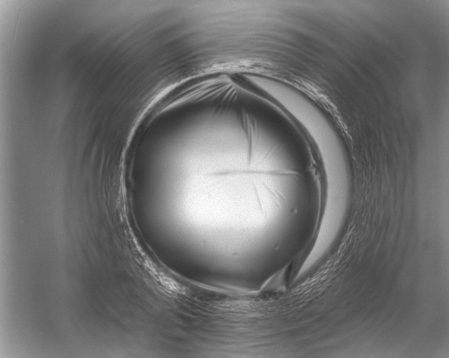 X0000058770792200510171225