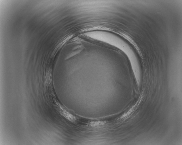 X0000058770793200510171225