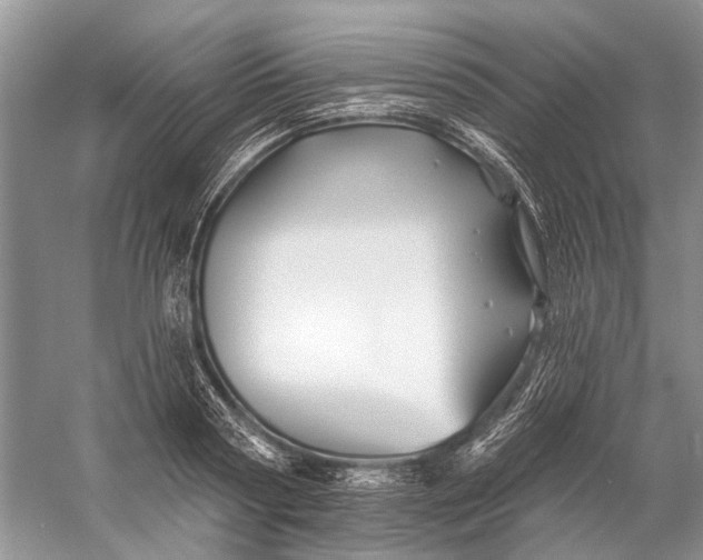 X0000058770794200510171225