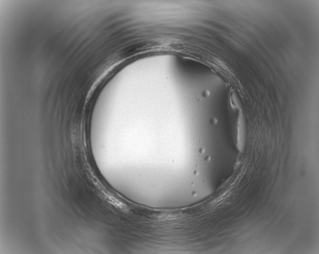 X0000058770796200510171225