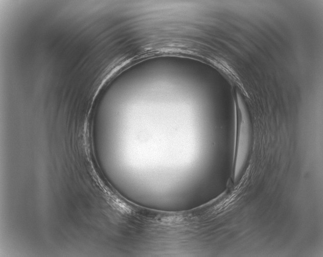 X0000058770798200510171225