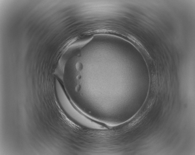 X0000058770801200510171225