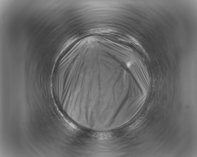 X0000058770802200510171225