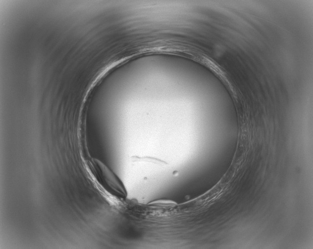 X0000058770803200510171225