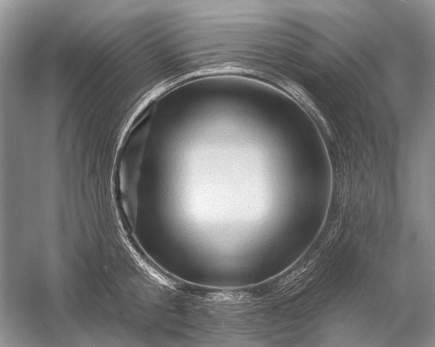 X0000058770805200510171225