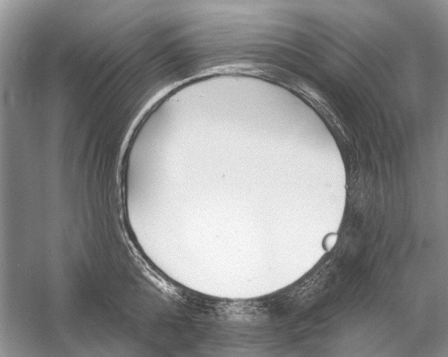 X0000058770808200510171224