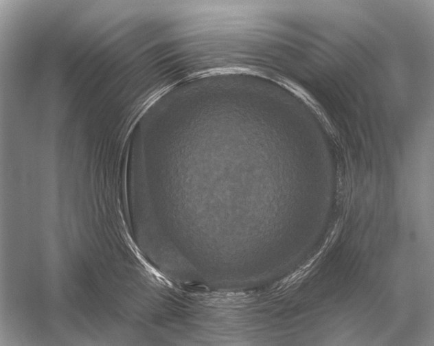 X0000058770809200510171224