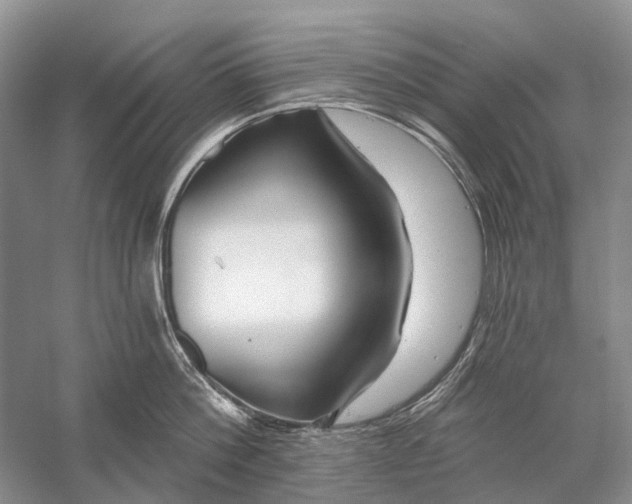 X0000058770812200510171224