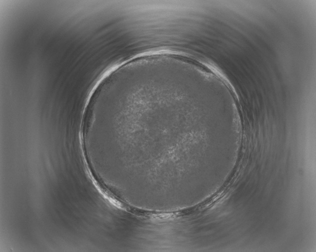 X0000058770813200510171224