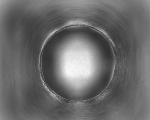 X0000058770815200510171224