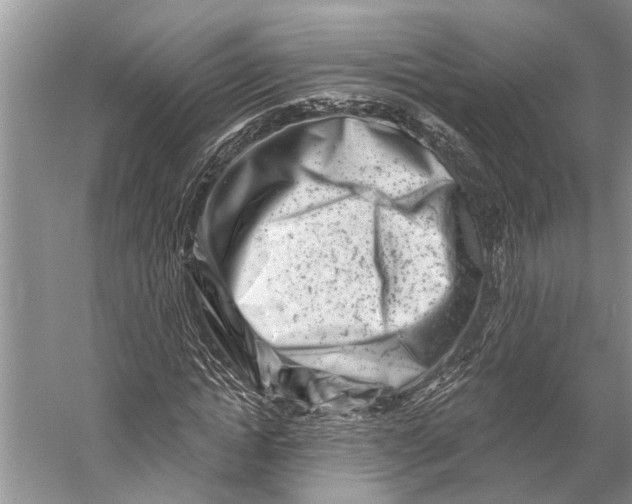 X0000058770822200510171223